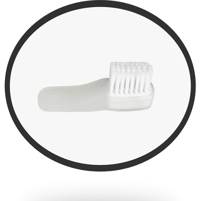 Tooth Brush / Berus gigi-batang